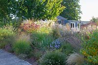 Bed with grasses and perennials in September 