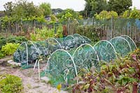 Plant protection net in the vegetable garden 