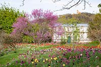 Spring garden at Hermannshof 