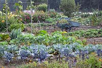Vegetable garden in September 
