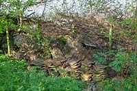 Benjeshecke and roof tiles in the natural garden 