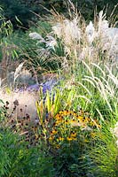 Grass bed in September, Miscanthus sinensis, Pennisetum orientale Fairy Tails, Rudbeckia 