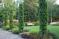 Garden with beech columns, Carpinus betulus 
