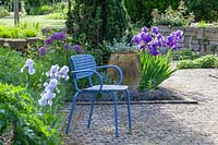 Mediterranean bed, Allium Globemaster, Iris barbata Feedback, Iris barbata Jane PHillips, Sedum cauticola Red Canyon 