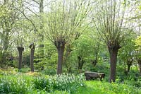 Natural garden with summer turret, Leucojum aestivum 