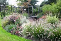 Bed with fountain grass, Pennisetum alopecuroides Hameln 