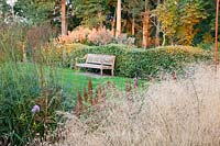 Seating in the garden, Deschampsia cespitosa Goldtau 