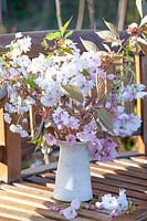 Cherry blossom branches in a vase 