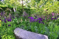 Large stone seat surrounded by plants: Iris ensata 'Laughing Lion' and 'Oase', Rodgersia pinnata 'Snow Clouds', Brunnera macrophylla 'Sea Heart'. June
Bord Bia Bloom, Dublin
Designer: Jane McCorkell
