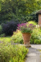 Salvia 'Love and Wishes' in decorative terracotta container beside borders with mixed Salvias and grasses. 