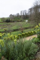 View across euphorbias and clipped box to the geometric kitchen garden and the Exedra at Painswick Rococo Garden in Gloucestershire in March
