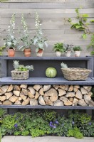 Outdoor kitchen shelves with pots of herbs, Digitalis - foxgloves, Akebia quinata vine, wicker baskets of fruit, logs and small border of shade tolerant plants. 

The Big Green Egg garden

Design: Nicola Harding 

RHS Chelsea Flower Show 2013