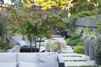 View of the seating area in this city garden with multi stem Parrotia persica providing dappled shade and Thymus praecox 'Albiflorus' running between the paving stones leading to the zinc clad building.