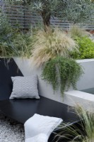 By the bespoke sunbed and the water feature, the planting in raised bed  includes Stipa tenuissima, Rosmarinus officinalis 'Prostratus Group', Pittosporum tobira 'Nanum' and an olive tree.