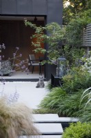 Cat seated on patio in a contemporary garden.