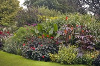 Mixed perennial border at Dorothy Clive Garden, August. Dahlias and lime-green Nicotiana are in front of the bed with Canna, Ricinis and orange flowered Kniphofia behind.