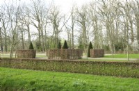 Overview with four topiary trees between large pruned hedges Fagus Sylvatica in a block shape.