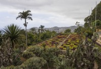 A view over the famous chequered hedges of the Madeira Botanical Gardens, with distant views of Funchal in the background. Summer. 