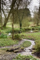 Pond at Cerney House Gardens in March