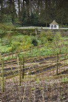 Raspberry canes tied to a framework in the walled garden at Cerney House in March
