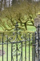 Metal gate in the walled garden at Cerney House in March