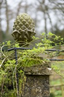 Pineapple finial on a gate post at Cerney House Gardens in March