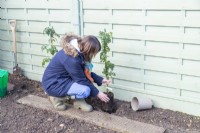 Woman planting Thornless Blackberry plants