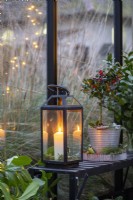 Candle lantern next to small Holly on a bench inside a greenhouse