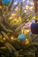 Woman hanging bauble on tree