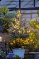 Christmas tree with fairy lights