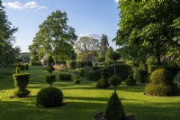 Formal Yew topiary in lawn