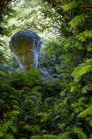 Classical statue hidden amongst Yew hedging.