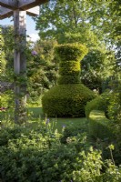 Formal Yew topiary garden in summer