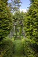 View between Box and Yew topiary arch
