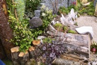 A woodland inspired border with utilized large logs serving as a seat, posts. Planted with Heuchera 'Licorice', Ajuga reptans, climbing of Trachelospermum jasminoides and Astilbe koreana. June
Designer: Mary Anne Farenden. Bord Bia Bloom, Super Garden, Dublin, Ireland.
