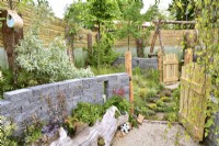 Rustic garden inspired by woodland. Raised bed made from Connemara walling system planted with silver Pyrus salicifolia. In foreground, log planted with perennials and wooden gates. Open wooden gates leading to different parts of the garden. June
