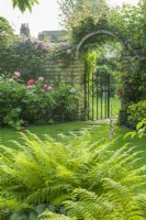 Garden gate in a brick wall clothed with roses and clematis. Stepping stones leading across a neatly mown lawn. Ferns in foreground. June.