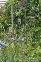 Bird feeding station amongst wildflowers in the 'Greener Pastures' garden at BBC Gardener's World Live 2015, June