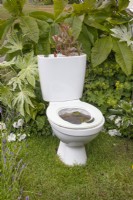 Toilet converted into a water feature in the 'Recycled and Reused' garden at BBC Gardener's World Live 2015, June