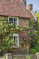 Picturesque village house clothed with climbing roses. June.