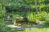 Small wildlife pond in the semi-shaded corner of a garden with water lilies and water irises. Paving stones used to form a firm neat edge to the lawn. Large rocks in shallow areas to help amphibians. June.