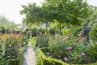 View of a small rose garden. View along a path towards a gate in a brick wall of a town garden with formal flower bed filled with roses and foxgloves. Rambling and climbing roses covering the walls and fences. June.