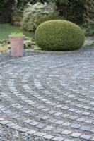Pavement maze at York Gate Garden in February