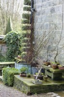 Arrangement of bonsai in pots on a raised platform at York Gate Garden in February