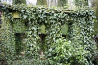 Stone divider clothed with ivy at York Gate Garden in February