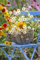Basket with picked chamomile and sunflowers