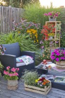 Summer terrace with containers with bedding flowers and garden furniture.
