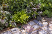 A path of reclaimed materials including tiles, bricks setts, pebbles and bottles, next to a border edging of low-growing perennials such as Heuchera and Pachysandra. Designer: Nicola Haines, Citroen Power of One at Bord Bia Bloom Dublin 2023