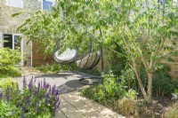 Pair of hanging outdoor garden chairs in a small sun-filled city garden with dappled shade provided by multi-stemmed cotoneaster trees. June.