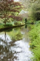 Mill stream at Docton Mill garden in April